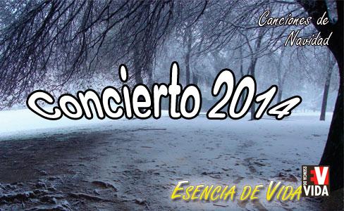 concierto-navidad-2014.jpg